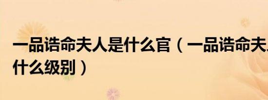 一品诰命夫人是什么官（一品诰命夫人相当于什么级别）