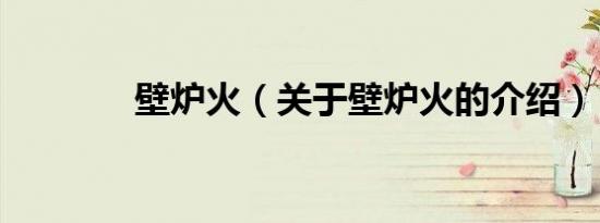 壁炉火（关于壁炉火的介绍）