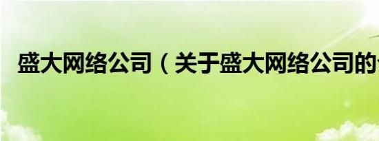 盛大网络公司（关于盛大网络公司的介绍）