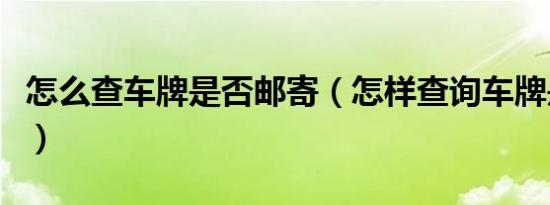 怎么查车牌是否邮寄（怎样查询车牌是否邮寄）