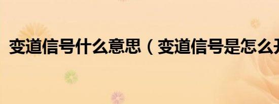 变道信号什么意思（变道信号是怎么开车?）