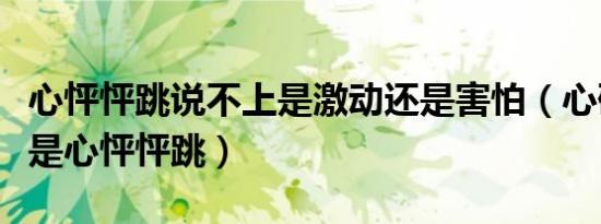 心怦怦跳说不上是激动还是害怕（心砰砰跳还是心怦怦跳）
