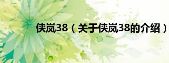 侠岚38（关于侠岚38的介绍）