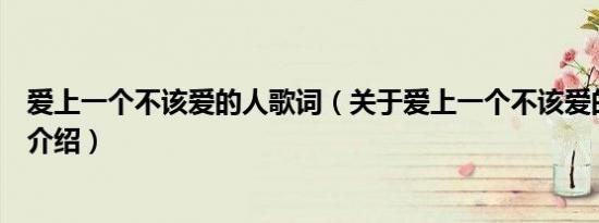 爱上一个不该爱的人歌词（关于爱上一个不该爱的人歌词的介绍）