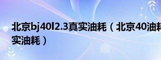 北京bj40l2.3真实油耗（北京40油耗多少真实油耗）