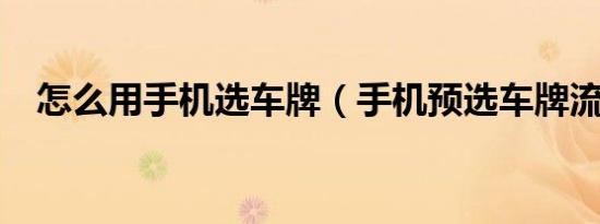 怎么用手机选车牌（手机预选车牌流程?）
