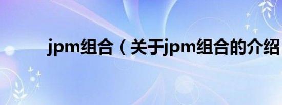 jpm组合（关于jpm组合的介绍）