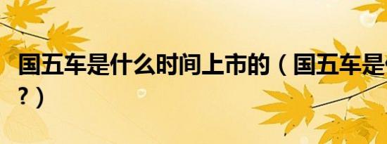 国五车是什么时间上市的（国五车是什么意思?）