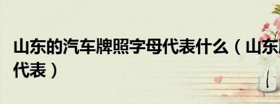 山东的汽车牌照字母代表什么（山东牌照字母代表）