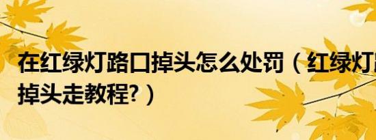 在红绿灯路口掉头怎么处罚（红绿灯路口怎么掉头走教程?）
