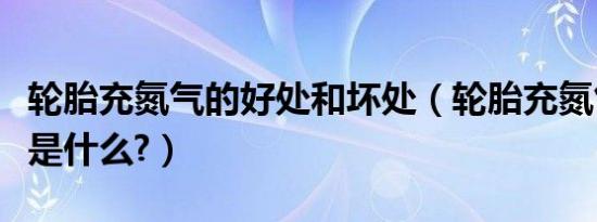 轮胎充氮气的好处和坏处（轮胎充氮气的好处是什么?）