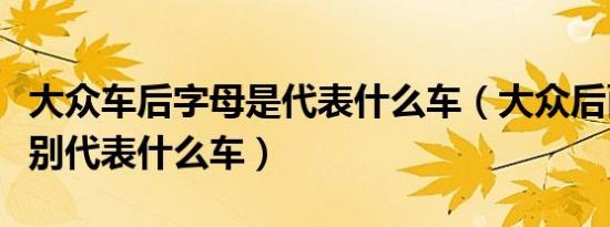 大众车后字母是代表什么车（大众后面字母分别代表什么车）