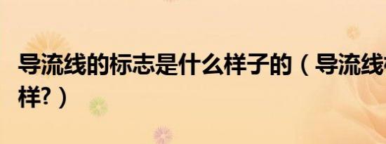导流线的标志是什么样子的（导流线标志什么样?）