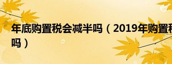 年底购置税会减半吗（2019年购置税会减半吗）