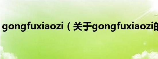 gongfuxiaozi（关于gongfuxiaozi的介绍）