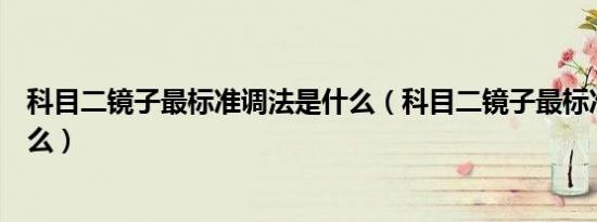科目二镜子最标准调法是什么（科目二镜子最标准调法是什么）