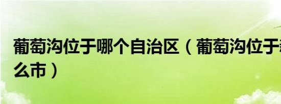 葡萄沟位于哪个自治区（葡萄沟位于新疆的什么市）