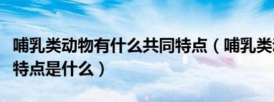 哺乳类动物有什么共同特点（哺乳类动物主要特点是什么）