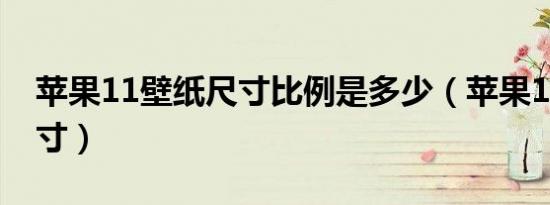 苹果11壁纸尺寸比例是多少（苹果11壁纸尺寸）