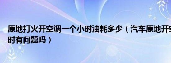 原地打火开空调一个小时油耗多少（汽车原地开空调两个小时有问题吗）