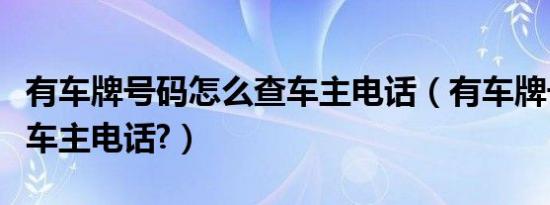 有车牌号码怎么查车主电话（有车牌号怎么查车主电话?）