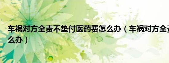 车祸对方全责不垫付医药费怎么办（车祸对方全责不垫付怎么办）