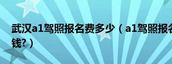 武汉a1驾照报名费多少（a1驾照报名费多少钱?）