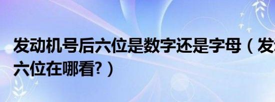 发动机号后六位是数字还是字母（发动机号后六位在哪看?）