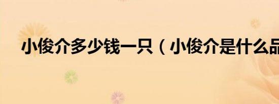 小俊介多少钱一只（小俊介是什么品种）