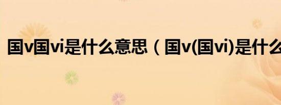 国v国vi是什么意思（国v(国vi)是什么意思）