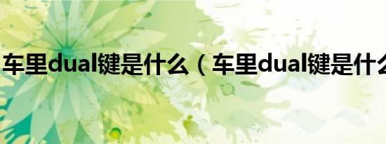车里dual键是什么（车里dual键是什么意思）