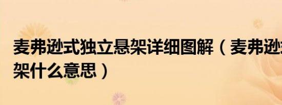 麦弗逊式独立悬架详细图解（麦弗逊式独立悬架什么意思）