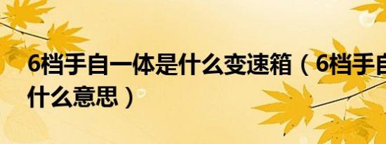 6档手自一体是什么变速箱（6档手自一体是什么意思）