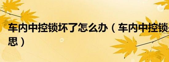 车内中控锁坏了怎么办（车内中控锁是什么意思）