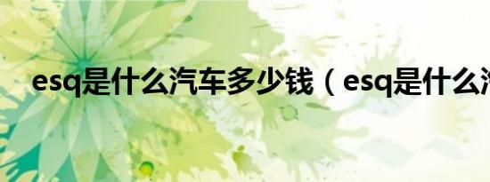 esq是什么汽车多少钱（esq是什么汽车）
