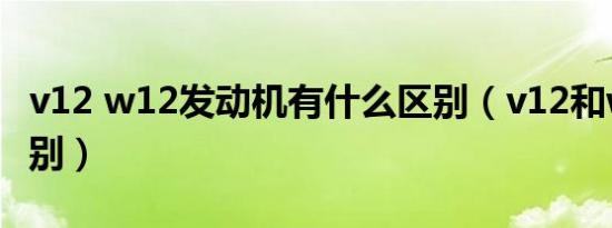 v12 w12发动机有什么区别（v12和w12的区别）
