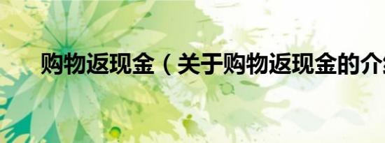 购物返现金（关于购物返现金的介绍）