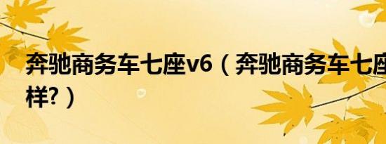 奔驰商务车七座v6（奔驰商务车七座v6怎么样?）