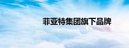 菲亚特集团旗下品牌
