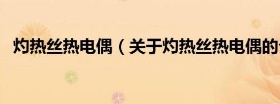 灼热丝热电偶（关于灼热丝热电偶的介绍）