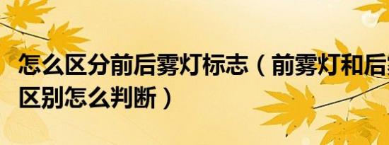 怎么区分前后雾灯标志（前雾灯和后雾灯标志区别怎么判断）