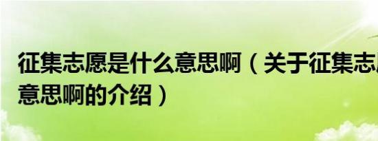 征集志愿是什么意思啊（关于征集志愿是什么意思啊的介绍）