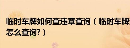 临时车牌如何查违章查询（临时车牌查询违章怎么查询?）