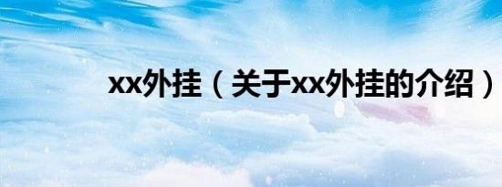 xx外挂（关于xx外挂的介绍）