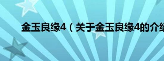 金玉良缘4（关于金玉良缘4的介绍）