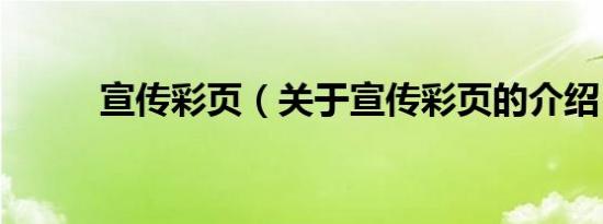 宣传彩页（关于宣传彩页的介绍）