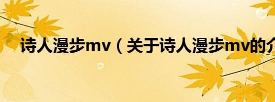 诗人漫步mv（关于诗人漫步mv的介绍）