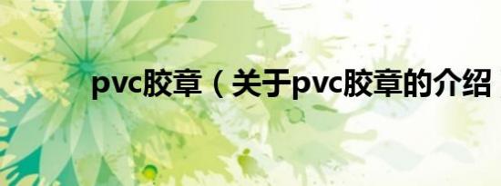 pvc胶章（关于pvc胶章的介绍）