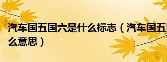 汽车国五国六是什么标志（汽车国五国六是什么意思）