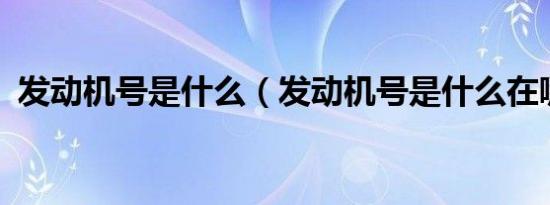 发动机号是什么（发动机号是什么在哪看?）